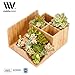 MobileVision Bamboo Succulent Plant Holder Desktop Organizer for Pens Pencils Files & Notepads; Gift for Back To School Teachers Employees Assistants