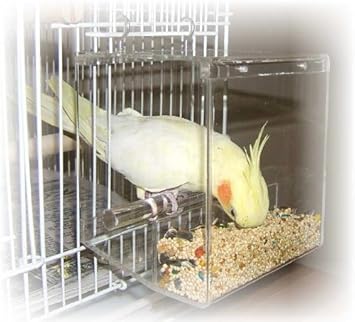 Tidy Bird No Mess Bird Feeder Amazon In Pet Supplies