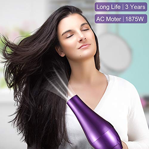 Ovonni Ionic Blow Dryer with Bonnet Hood, Pro 1875W Negative Ion Ceramic Tourmaline AC Moter Hair Dryer, 2 Speed/3 Heat Settings Cool Shot Long Life Styler Dryer with Concentrator/Nozzle (Purple)