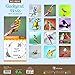 2017 Backyard Birds Wall Calendar
