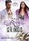 Livro O Meu Carnaval com o Gringo: Um Amor de Carnaval 4