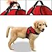Copatchy No Pull Reflective Adjustable Dog Harness With Handle- Comfortable Soft All Weather Mesh, Easy On Puppy Harness For Small Medium and Large Dogs (Red) Medium