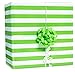 Classic Stripe Jumbo Gift Wrap Party Supply, Kiwi Green, Paper , 16' x 30