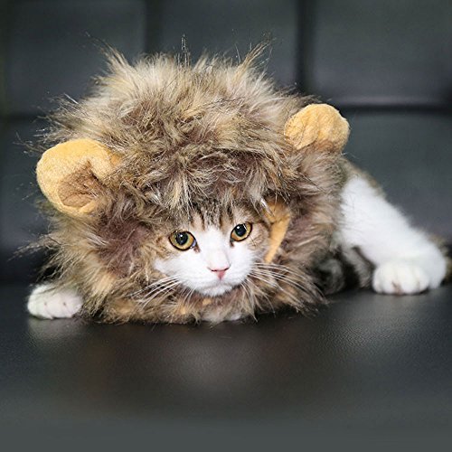 Pesp Puppy Cat Dog Costume Cosplay Lion Panda Wig Dress up with Ears Hats for Halloween Christmas Festival Party Fancy Dress Pet Clothes