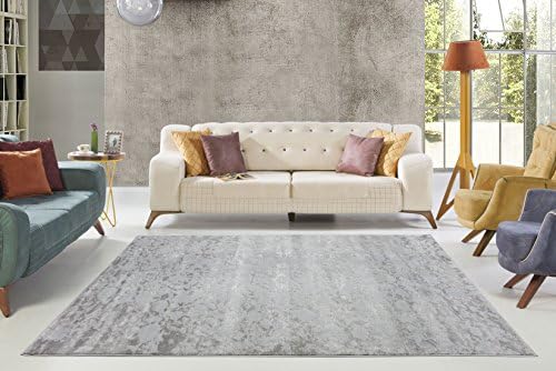 Ladole Rugs Concord Beautiful Indoor European Smooth Abstract Pattern Area Rug Carpet in Silver-Grey, 6'5 x 9'5 (200cm x 290cm)