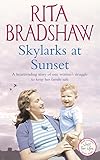 Front cover for the book Skylarks at Sunset by Rita Bradshaw