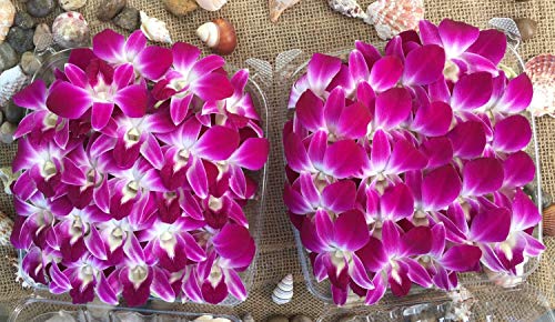 4 Purple+Edible+Orchid+Flowers+Perfect