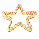 LED String Lights 50 leds 16.4 feet TaoTronics Decorative Lights for Wedding,Party. Battery Operated for Bedroom with Attached Controller Box, Waterproof Led String Lights indoor and outdoor,