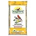 Wagner's 76025 Black Oil Sunflower Seed, 10-Pound Bag