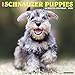 Just Schnauzer Puppies 2020 Wall Calendar (Dog Breed Calendar) by 