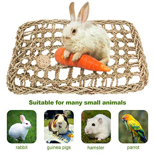Rabbit Seagrass Mat, Bunny Chinchilla Activity Protector Mat for Teeth