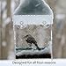 Kanaryware Window Bird Feeder - Built to Last A Lifetime - Decorate Your House with Beautiful Wild Birds - 100% Clear Acrylic - Drain Holes - Hooks & 2 Extra Suction Cups Included - Great Gift