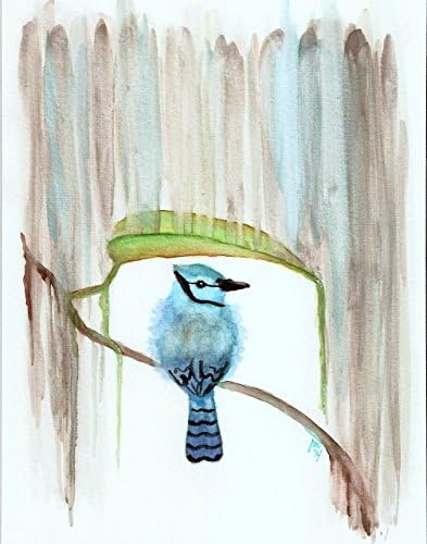 8"x10" Art print, Blue Jay in the Rain
