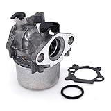 Briggs & Stratton 799866 Carburetor Replaces 796707/794304