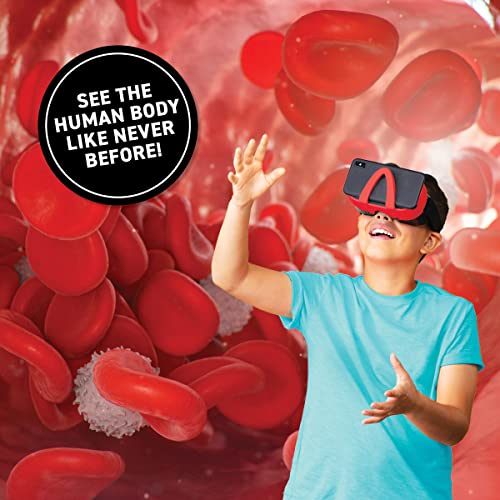 Abacus Brands Virtual Reality Human Body Illustrated Interactive VR