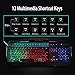 Rainbow LED Backlit Gaming Keyboard with Anti-ghosting Multimedia Control, Lumsburry Large Size USB Wired Keyboard for PC Games Office (Black)thumb 3