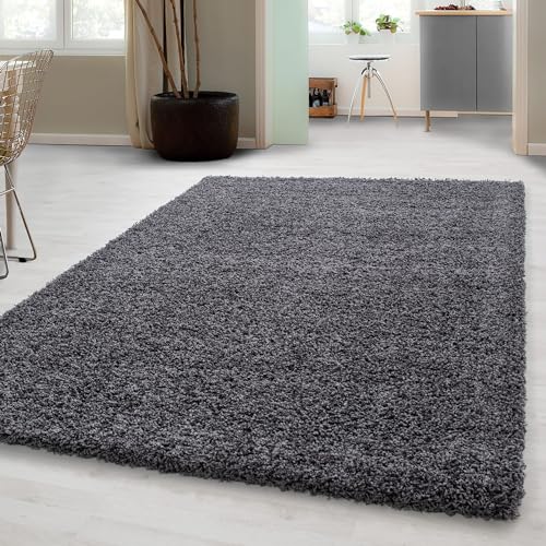 Carpetsale24 Shaggy Hochflor Teppich 240x340 cm Grau weich flauschig modern einfarbig Für großzügige Wohnräume für Wohnzimmer Schlafzimmer Flur