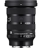 Sigma 24-70mm f/2.8 DG OS HSM Art Lens for Canon : SIGMA: Amazon