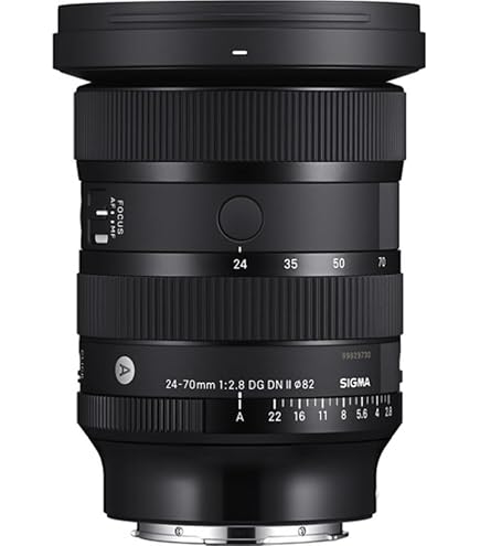 Sigma 24-70mm F2.8 DG DN Art for L Mount : Amazon.ca