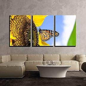 3 Piece Canvas Wall Art - Female Monarch Butterfly Danaus Plexippus on a Sunflower Helianthus Annuus - Modern Home Art Stretched and Framed Ready to Hang - 16"x24"x3 Panels