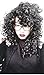 Amazing Sexy Wild Untamed Long Curly Wig Black Brown Ladies Wigs WIWIGS