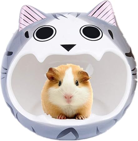 cool hamster toys