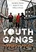 Youth Gangs in American Society