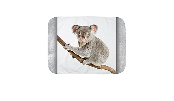 Amazon Com Royal Lion Baby Blanket White Koala Bear On Branch Clothing