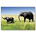 BABY ANIMALS postcard set of 20 postcards. Animal babies post card variety pack. Made in USA.
