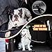 8-10FT Dog Leash for Large Dog Heavy Duty, with Detachable Short Dog Leash- Padded Traffic Leash with Shock Absorbed Spring for Extra Control, Bungee No Pull Reflective Dog Leash for Large Breed Dog