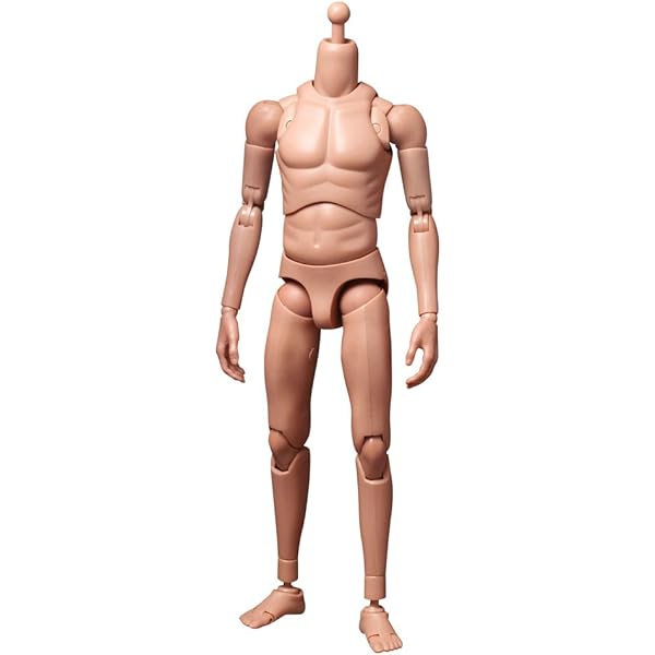 Amazon Com Hot Toys Truetype Slim Figure Body Ttm 22 12 1 6 Scale Action Figure In Stock Toys Games