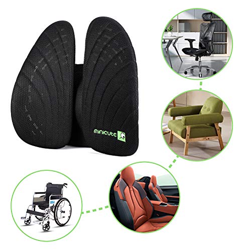 LONG FIT Lumbar Support,Back Cushion Inflated,Adjustable Backrest with 3D Mesh Breathable Cover Lower Middle Back Pain Relief Orthopedic Support for Car Seat,Computer/Office Chair and Posture Improve