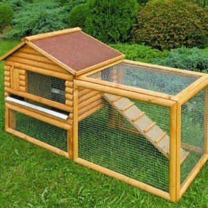 Woodland Clapier Poulailler Bois Pour 2 Lapins Ou 2 Poules Naines L160xp62xh75cm