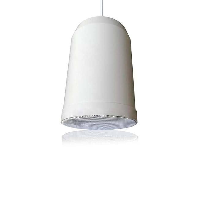 Keiid Hifi Hanging Pendant Speaker 5 Inch Hi Fi Surround Sound