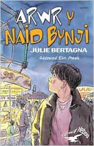 Arwr y Naid Bynji (Welsh Edition): Julie Bertagna, Elin ...