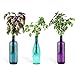 Urban Leaf - Windowsill Herb Garden Starter Kit - Self Watering Indoor Bottle Garden Kit - incl 3 Types Herb/Flower Seeds - Perfect Unique Gift for Her (or Him!)