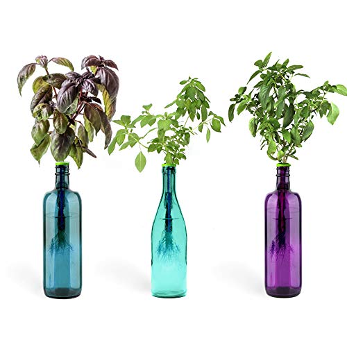 Urban Leaf - Windowsill Herb Garden Starter Kit - Self Watering Indoor Bottle Garden Kit - incl 3 Types Herb/Flower Seeds - Perfect Unique Gift for Her (or Him!)