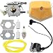 Carburetor Ignition Coil for Husqvarna 51 55 Chainsaw WT-170-1 WT-170 503281504 with Air Filter Fuel Line Spark Plug Parts Kit Carb Engine