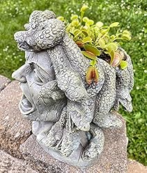 Darware Resin Medusa Head Planter, Large Garden