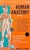 Atlas of Human Anatomy Revised