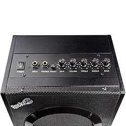 IYV 6 String IP-350 TBK PRS Solid-Body Electric