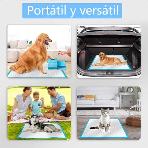 LICHENXI Almohadillas Desechables para Entrenamiento de Mascotas y Almohadillas para Orinal para Mascotas, súper absorbentes y a Prueba de Fugas, Perros, Gatos, Conejos (60x60cm (40 pcs))