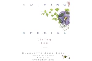 Nothing Special: A Zen Buddhist Guide to Awakening Through Daily Life's Feelings, Relationships, and Work