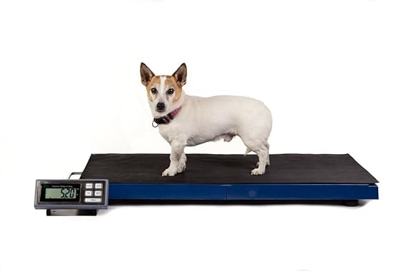 Veterinärwaage LCVS-180K -- 180KG x 0,05KG Economy intelligente Tierarztwaage mit „Hold“ Funktion, Tierwaage mit rutschfester