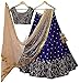 REKHA Ethinc Shop Embroidered Work Indian Bollywood Designer Lehenga Choli Ethnic Look Women Semi-Stitched Lehenga Choli A314 Blue