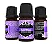 EA AromaCare Aromatherapy Essential Oils Blends Gift Set, Therapeutic Grade, 100% Pure, (Detox, Immunity, Rejuvenate, Sleep Well, Relax and Muscle Relief) Great Essential Oils Set