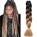 WIGENIUS 5 PCS Jumbo Braids Hair Extensions Black/Dark Brown/Light Brown 24 Inches 100g/pc Kanekalon Fiber for Twist Braiding Hair(5pcs,Black/Dark Brown/Light Brown)