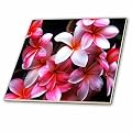 3dRose ct_62165_2 Hawaiian Fuchsia Colored Plumeria Flowers-Ceramic Tile, 6-Inch