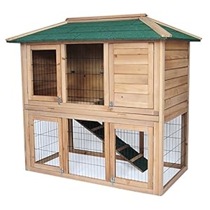 Conejera Madera para Exterior Gallineros para Gallinas Jaulas Grandes para Conejos Cobayas Hámster Mascotas Impermeable 2 Niveles, 4 Puertas 124x67x121cm 0041HT