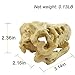 Bestgle Aquarium Fish Tank Decoration Ornament Resin Emulational Dinosaur Head Bone Skull Accessories